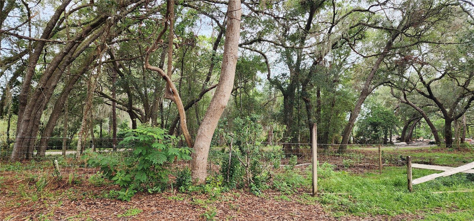 Details for 711 Sunset Avenue, ORANGE CITY, FL 32763