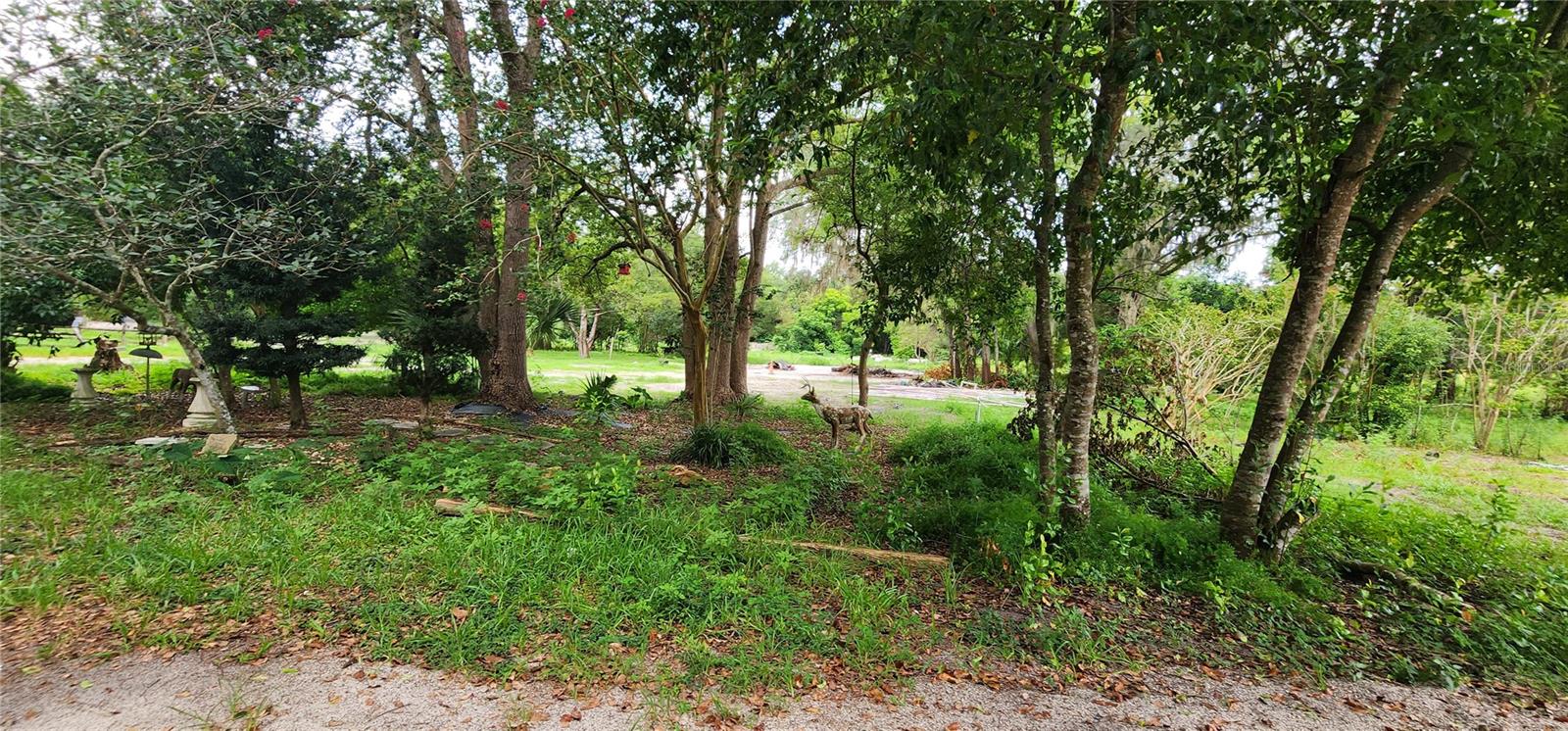 Image 11 of 12 For 711 Sunset Avenue