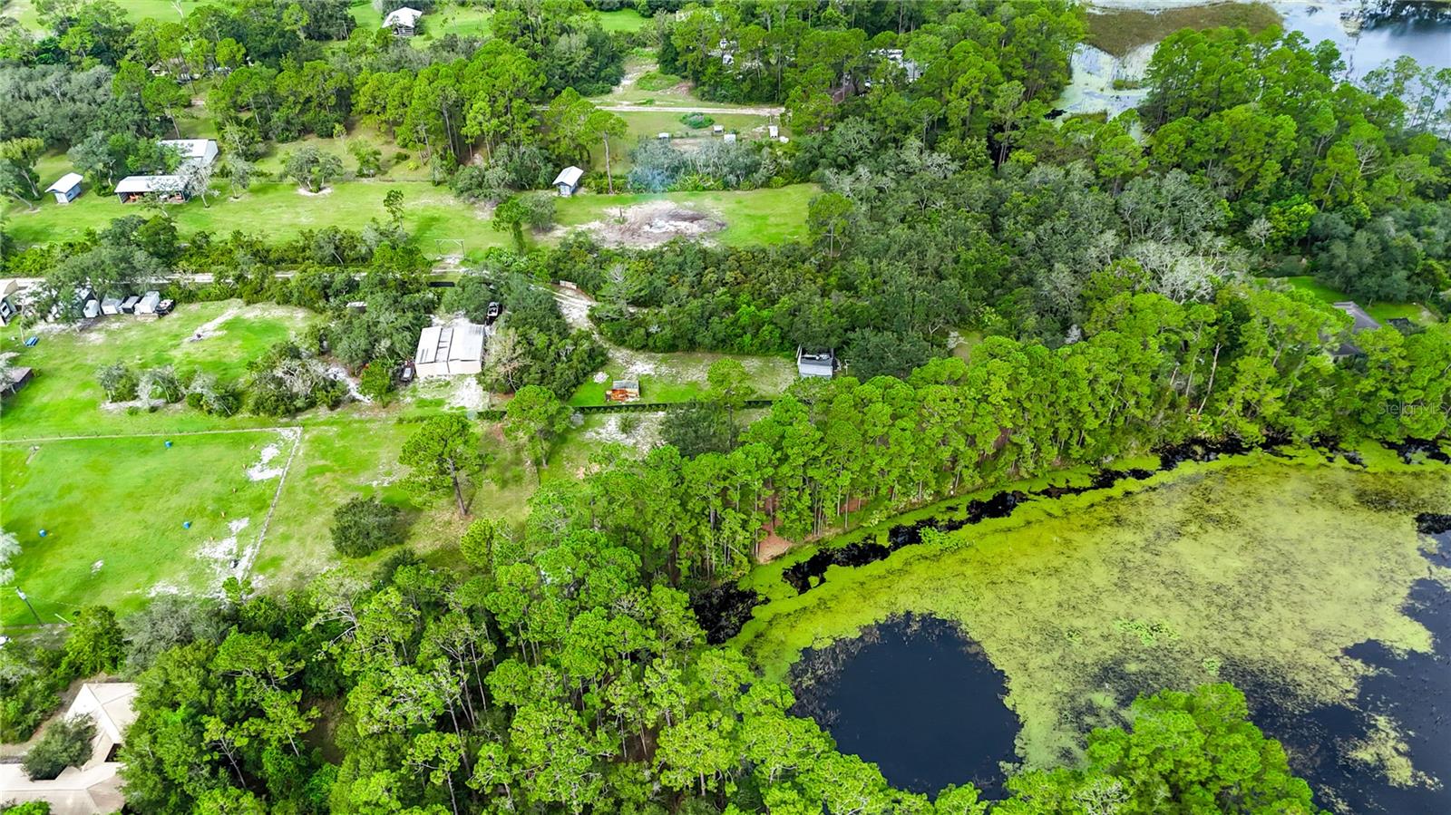 Image 10 of 52 For 1260 Equine Path