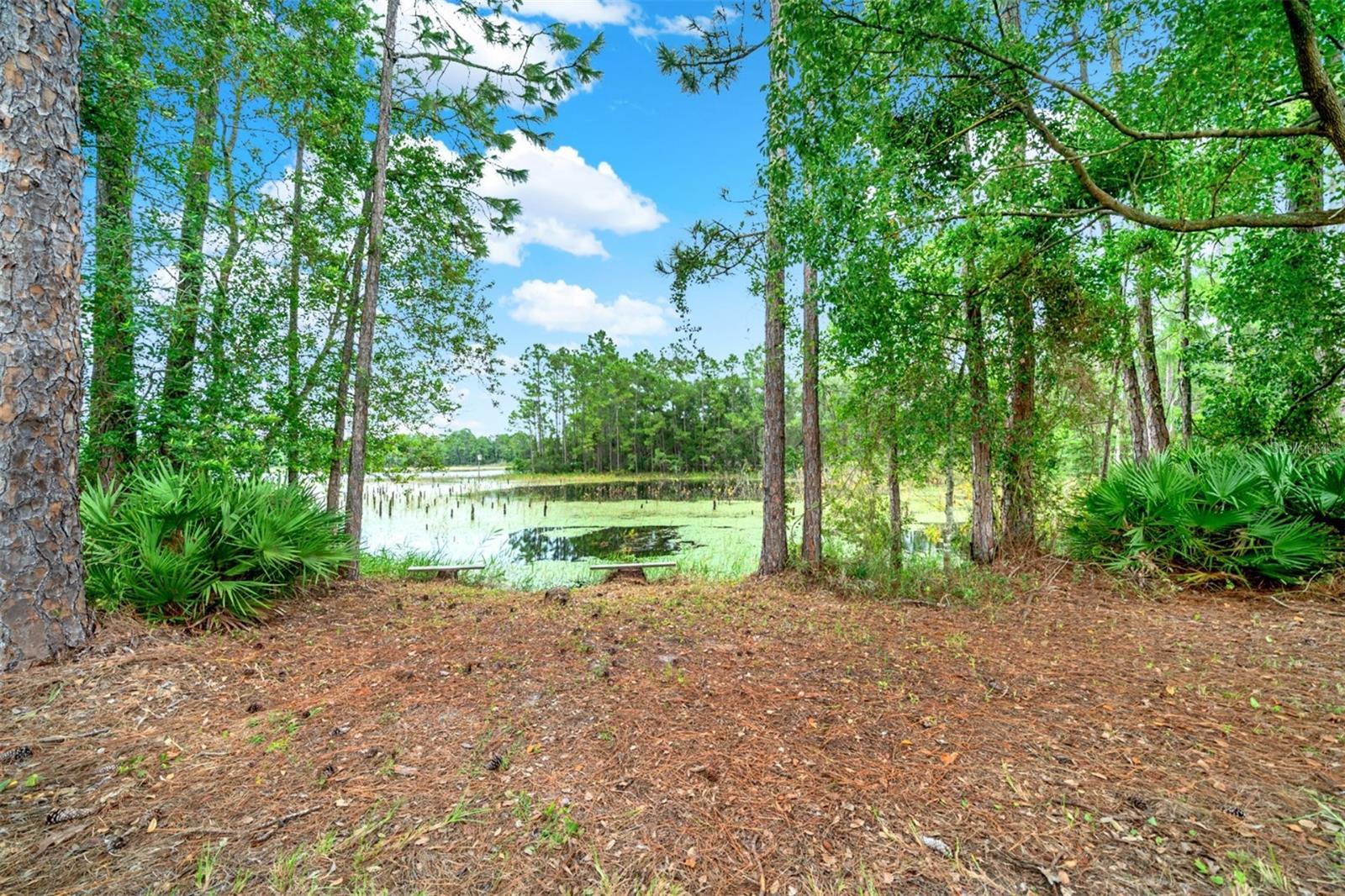 Image 22 of 52 For 1260 Equine Path