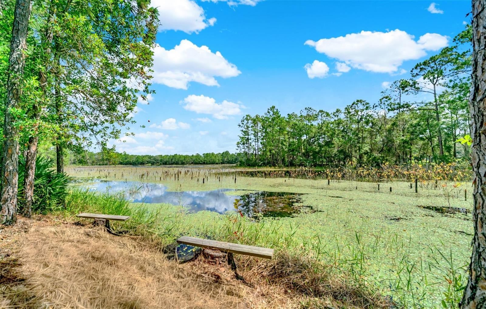 Image 23 of 52 For 1260 Equine Path