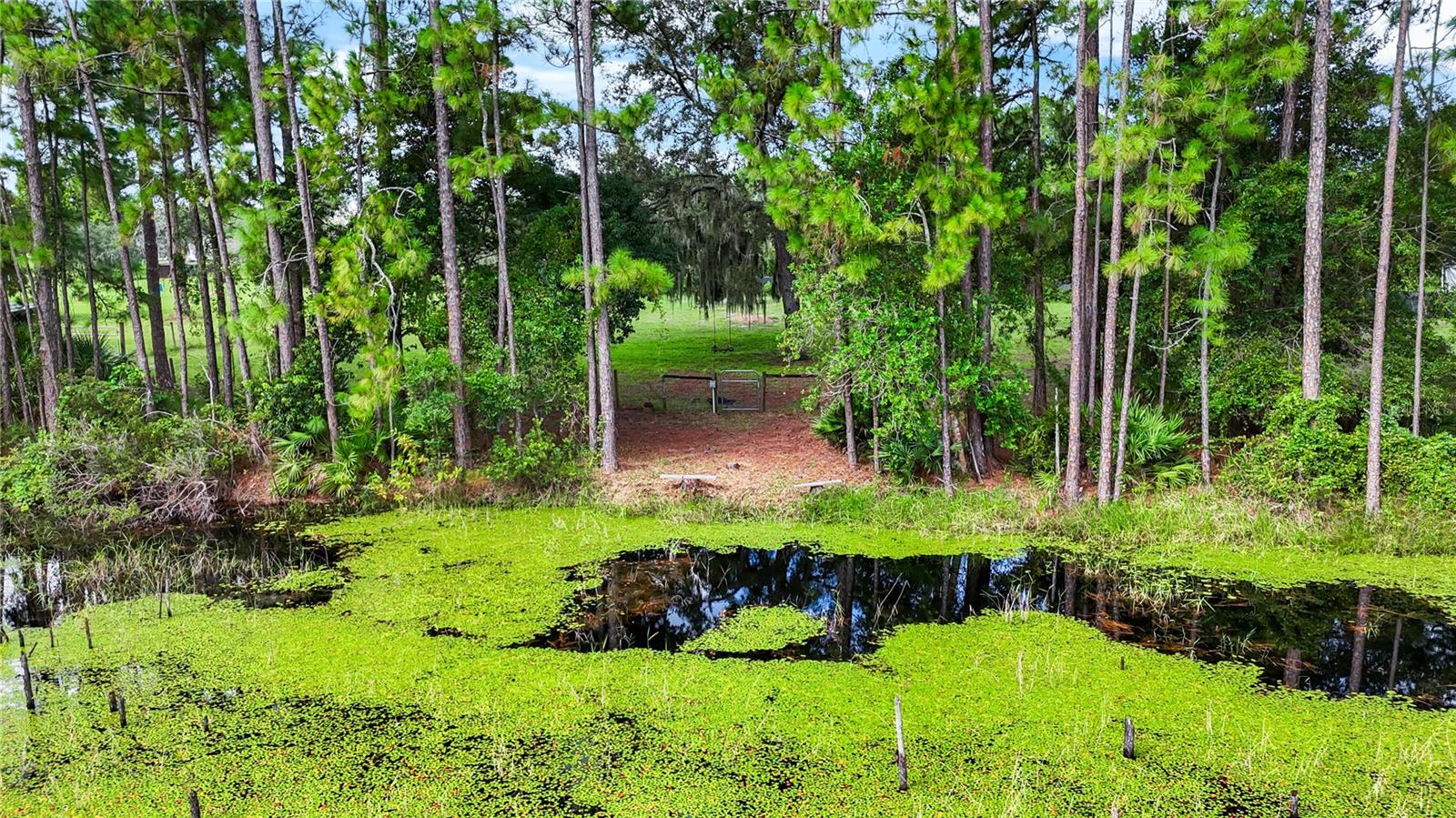 Image 27 of 52 For 1260 Equine Path