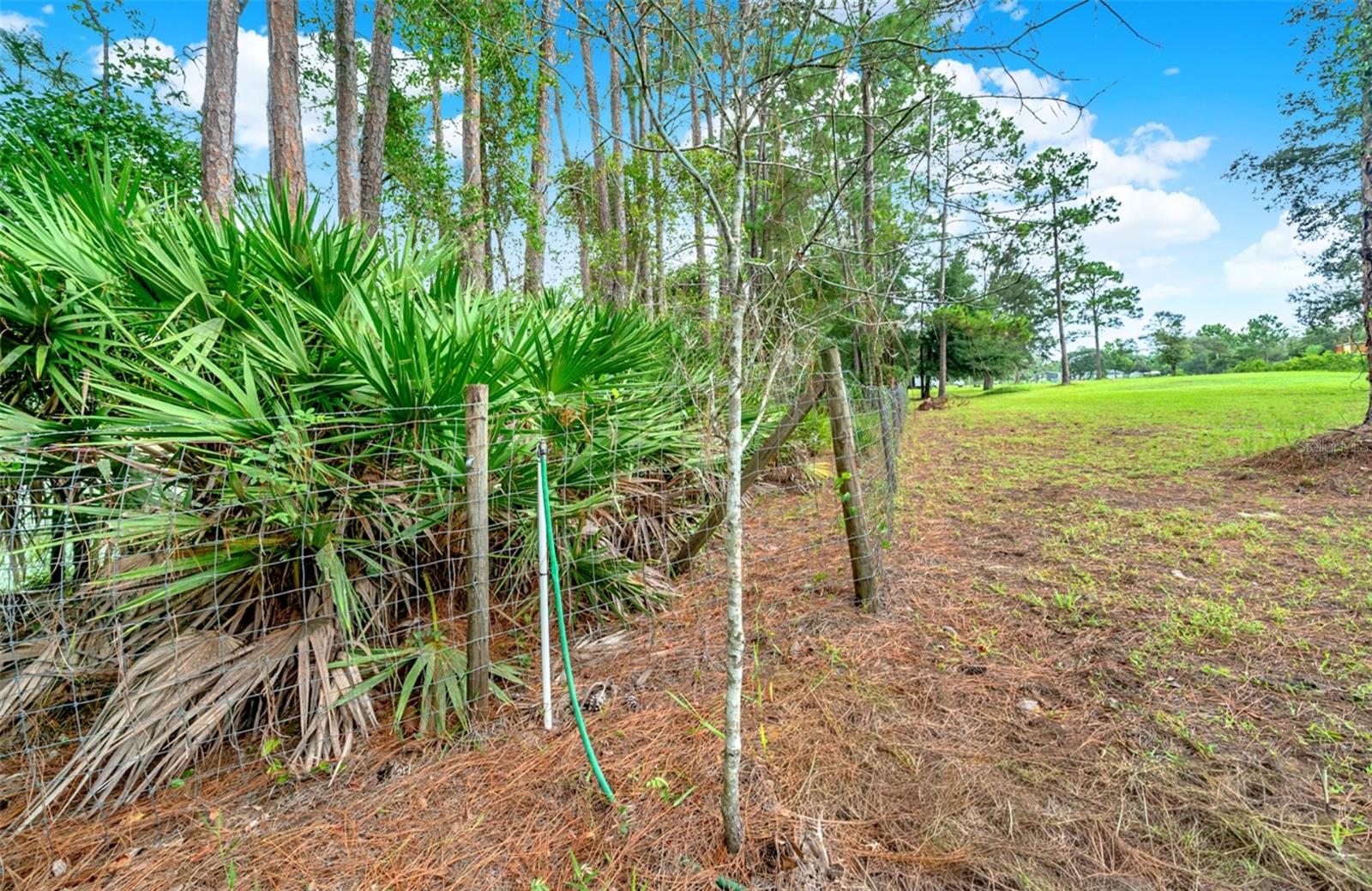 Image 30 of 52 For 1260 Equine Path