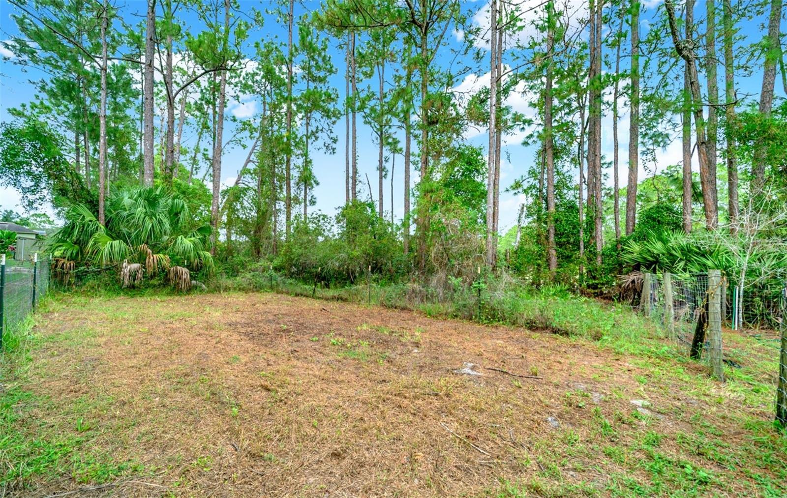 Image 31 of 52 For 1260 Equine Path