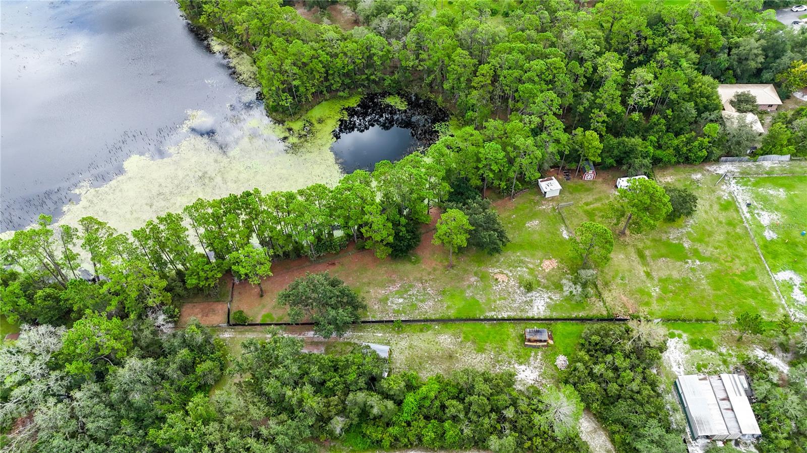 Image 4 of 52 For 1260 Equine Path