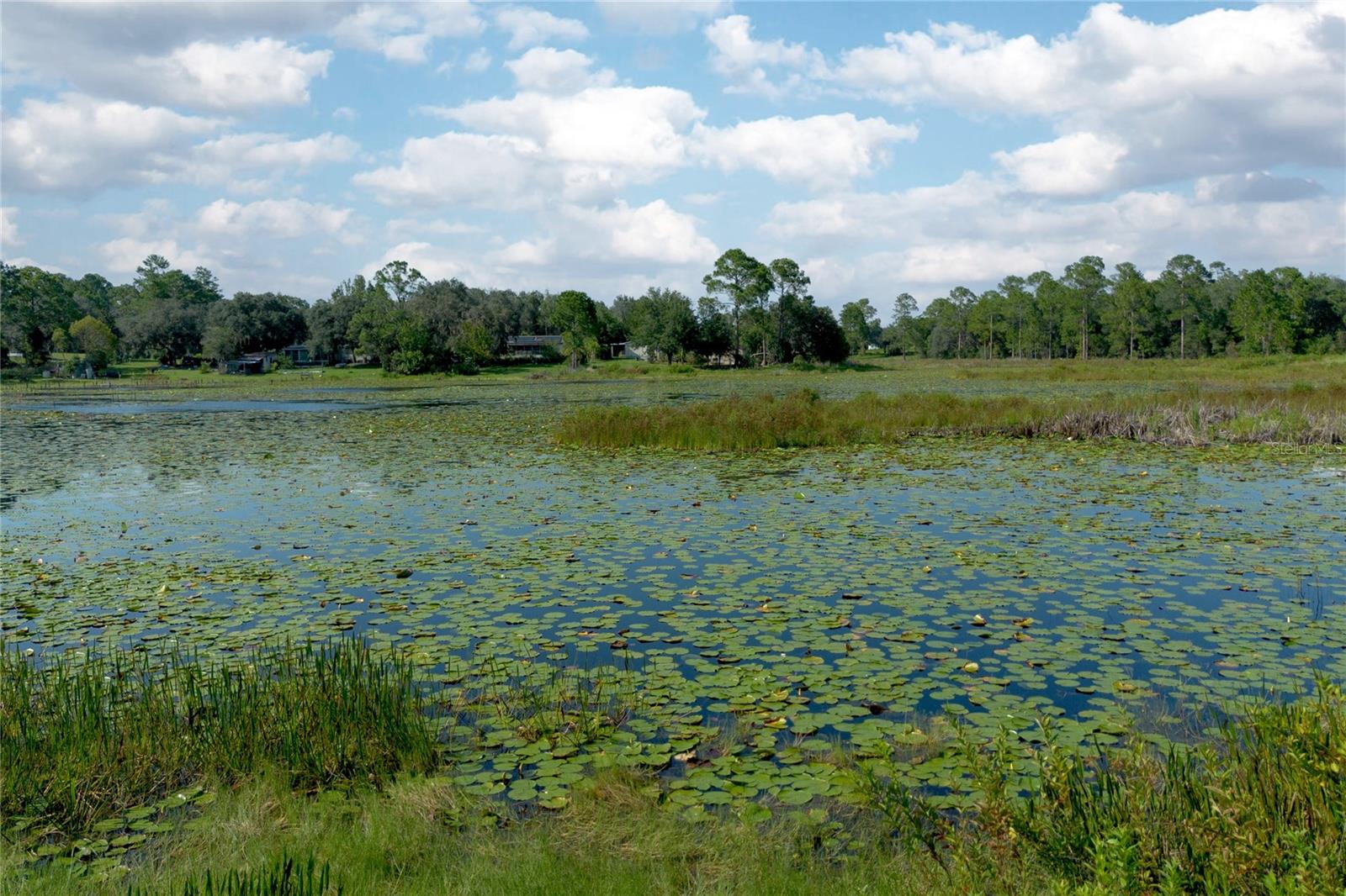 Image 3 of 4 For 31725 Spruce Drive