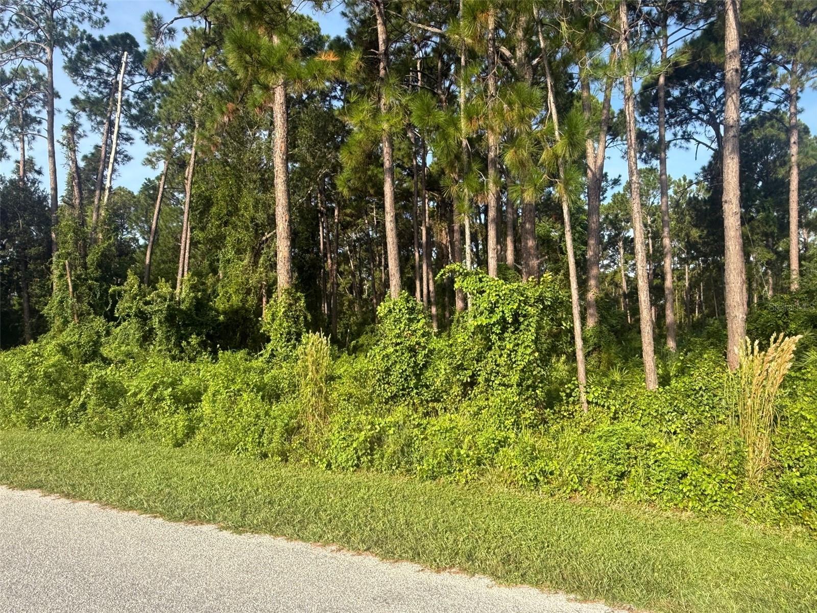 Image 2 of 4 For 40 Dial Avenue