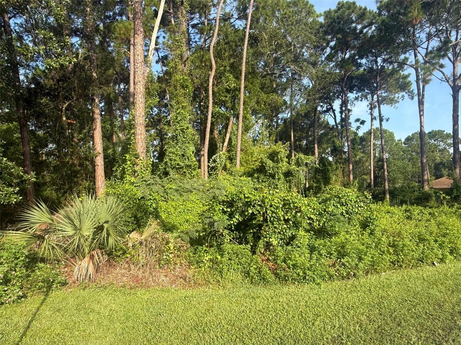 Image 3 of 4 For 40 Dial Avenue