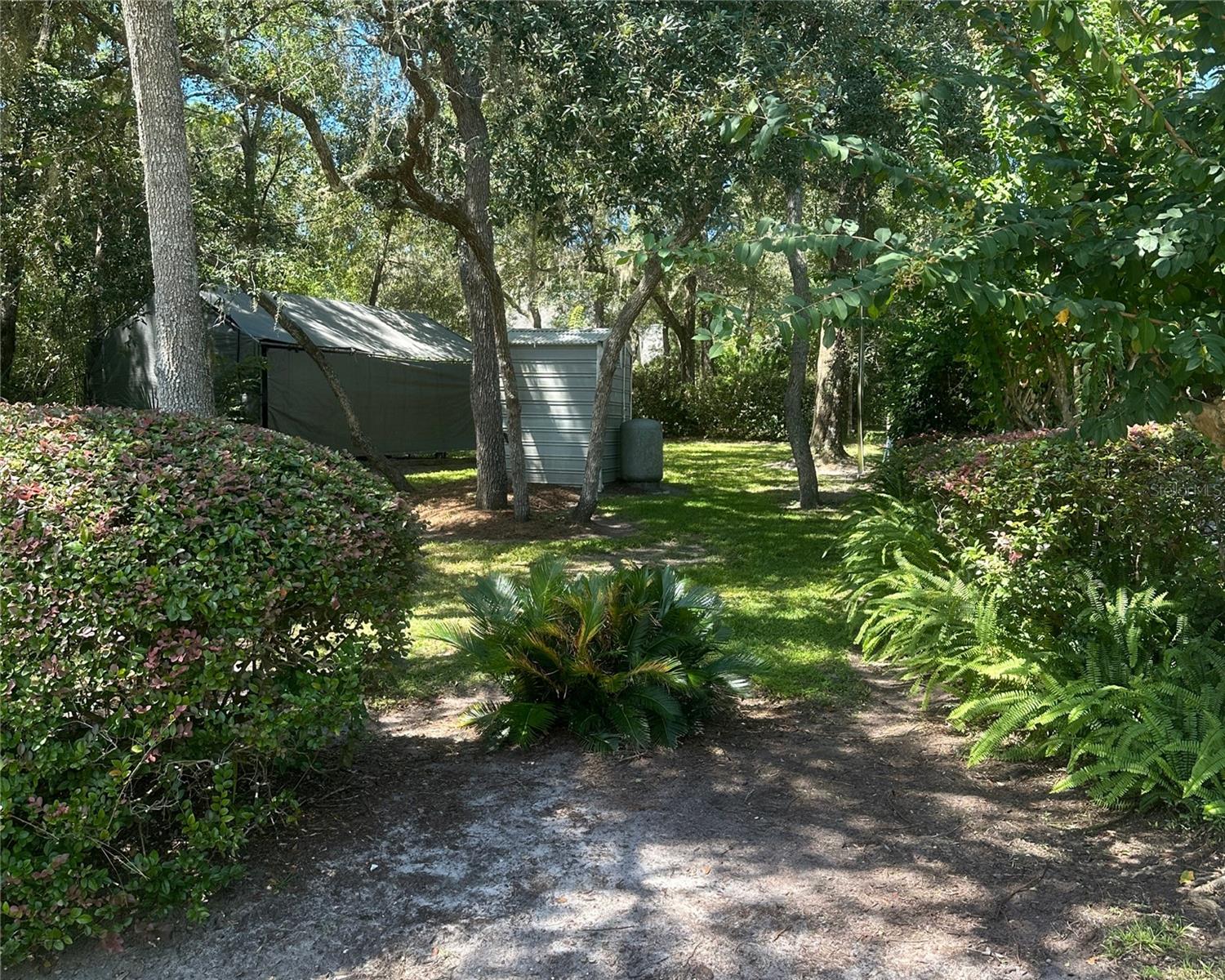 Image 41 of 46 For 1580 Trinidad Street