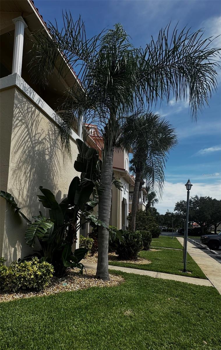 Image 26 of 51 For 462 Bouchelle Drive 104