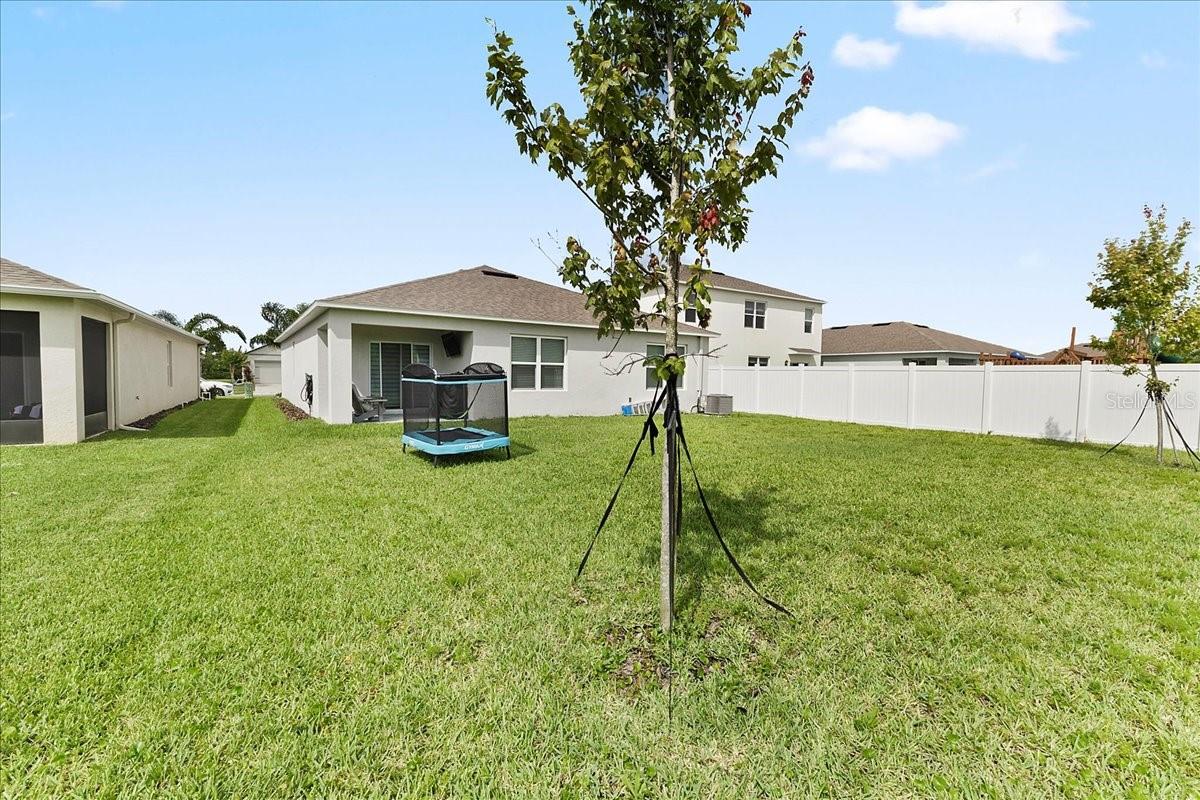 Image 18 of 51 For 2714 Neverland Drive