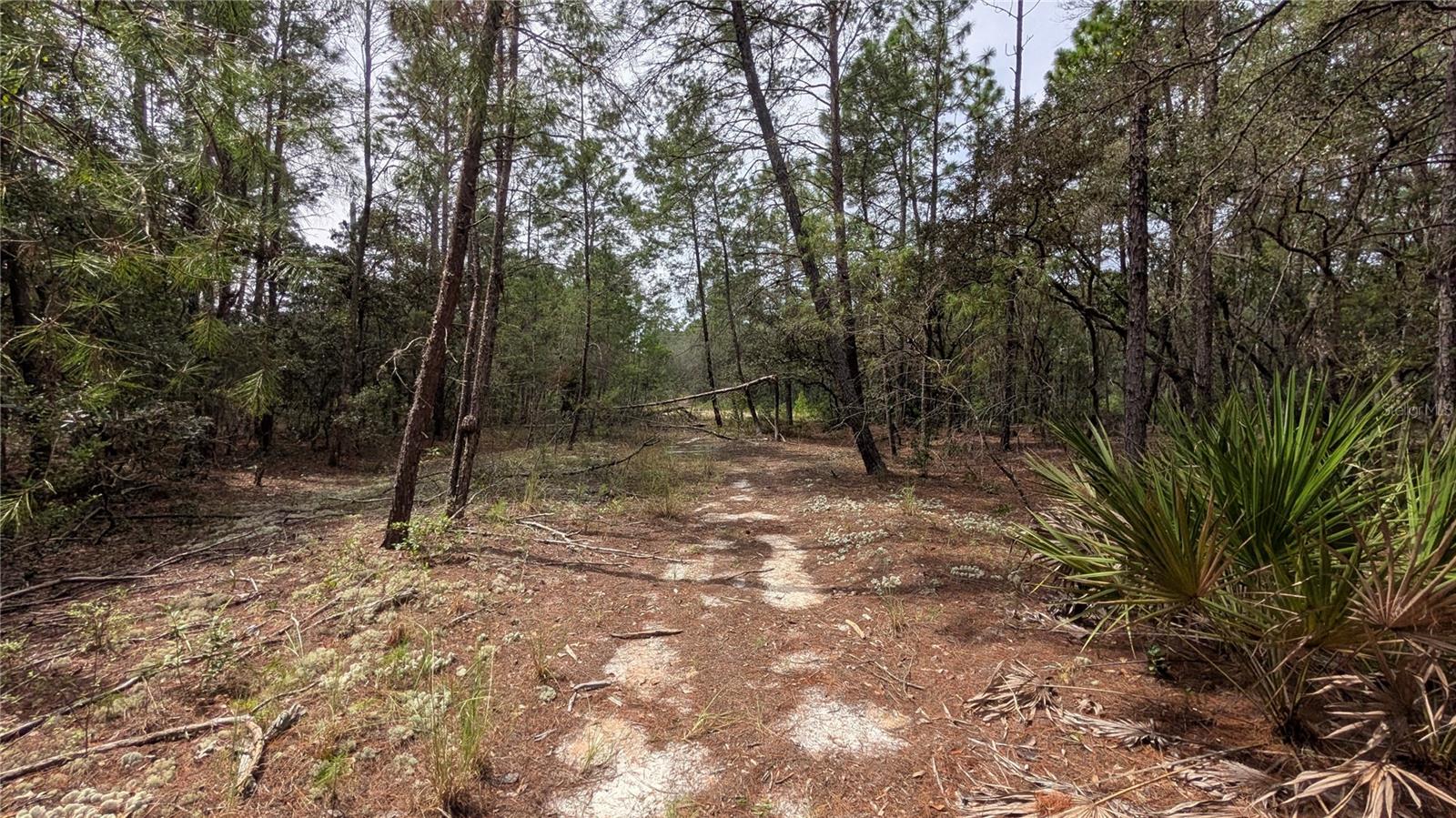 Image 5 of 11 For 120 & 122 North Carolina Drive