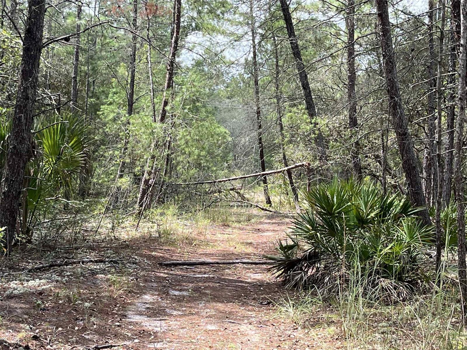 Image 6 of 11 For 120 & 122 North Carolina Drive