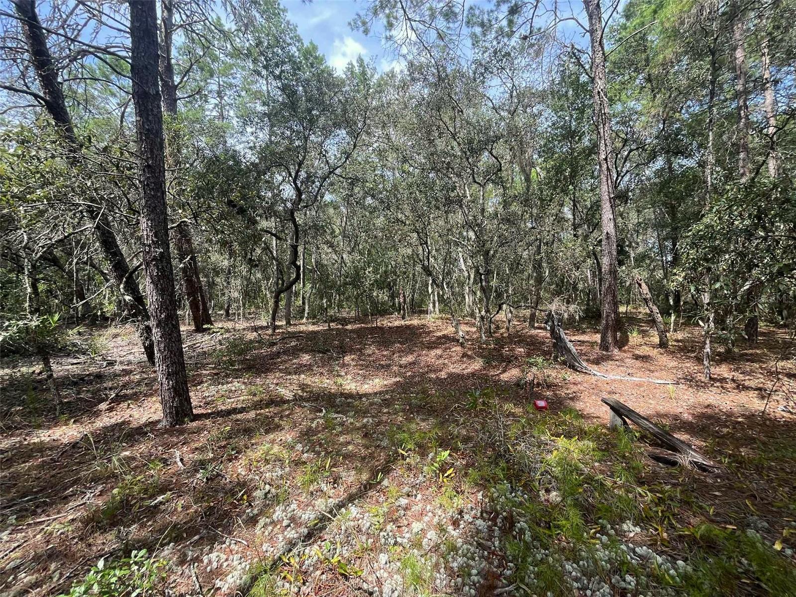 Image 8 of 11 For 120 & 122 North Carolina Drive