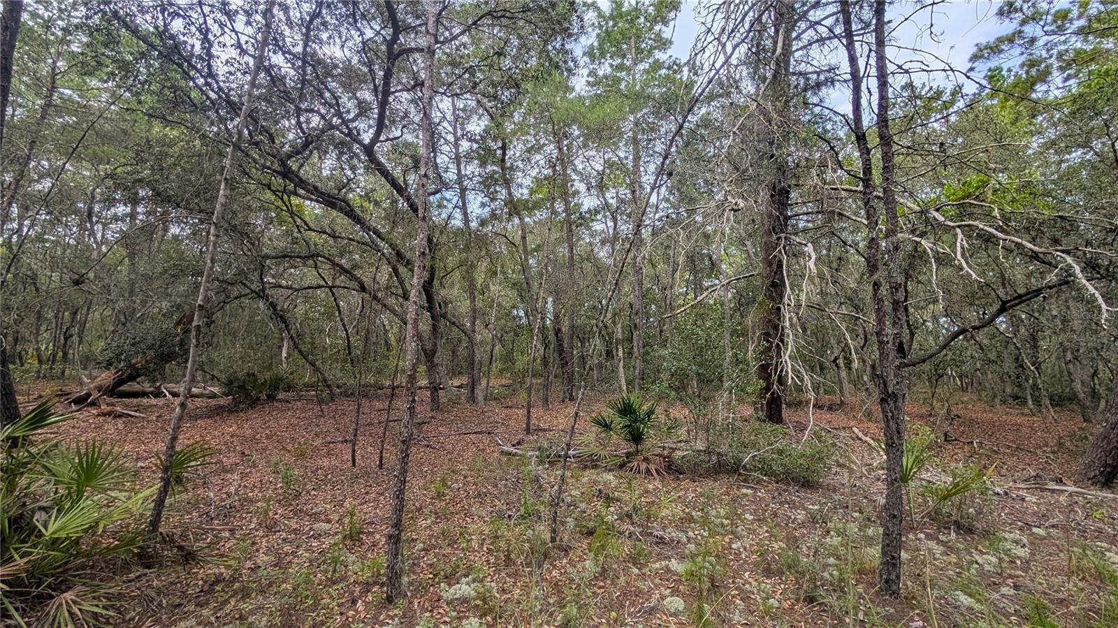 Image 9 of 11 For 120 & 122 North Carolina Drive