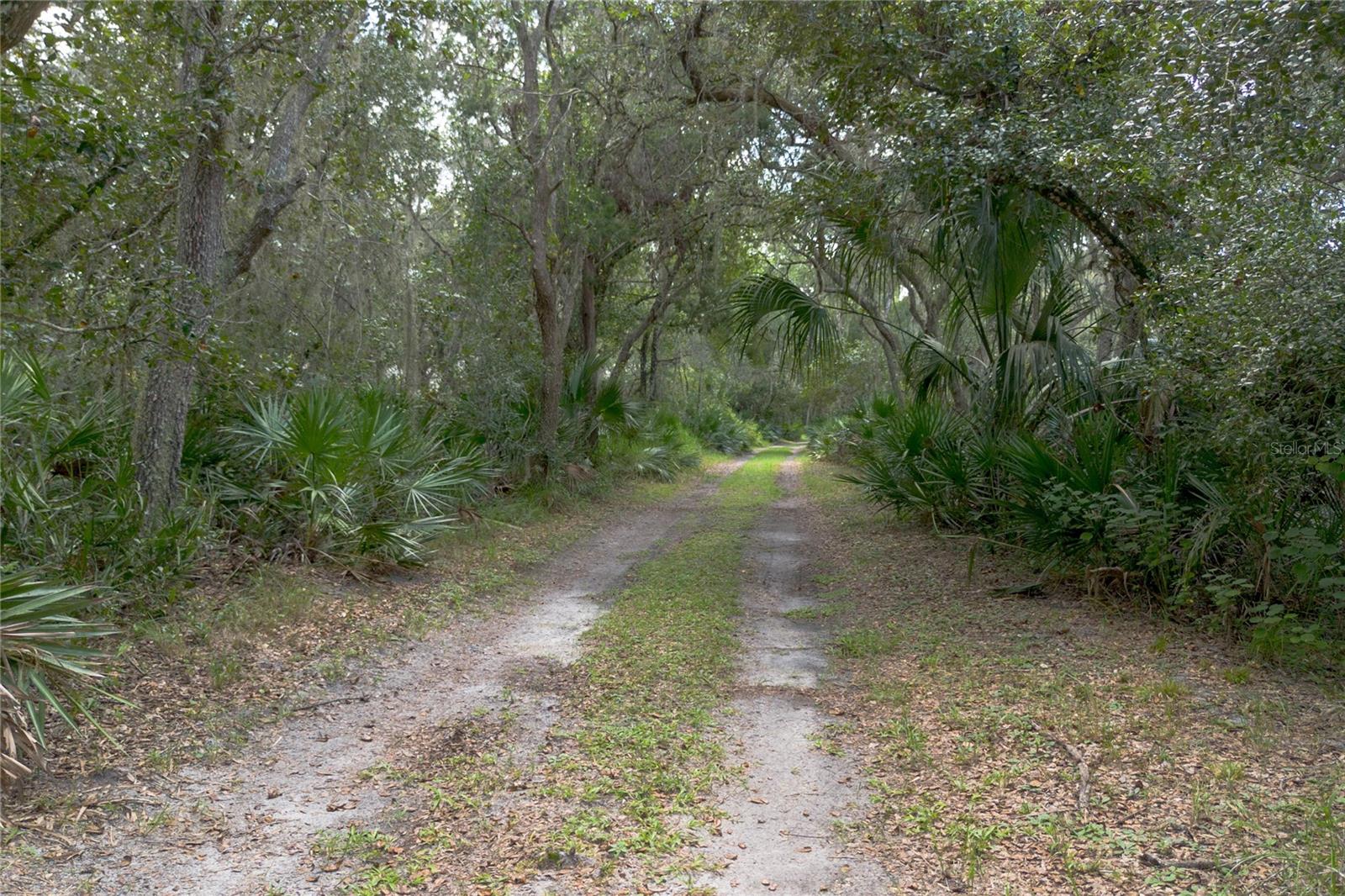 Image 3 of 9 For 2256 Enterprise Osteen Road