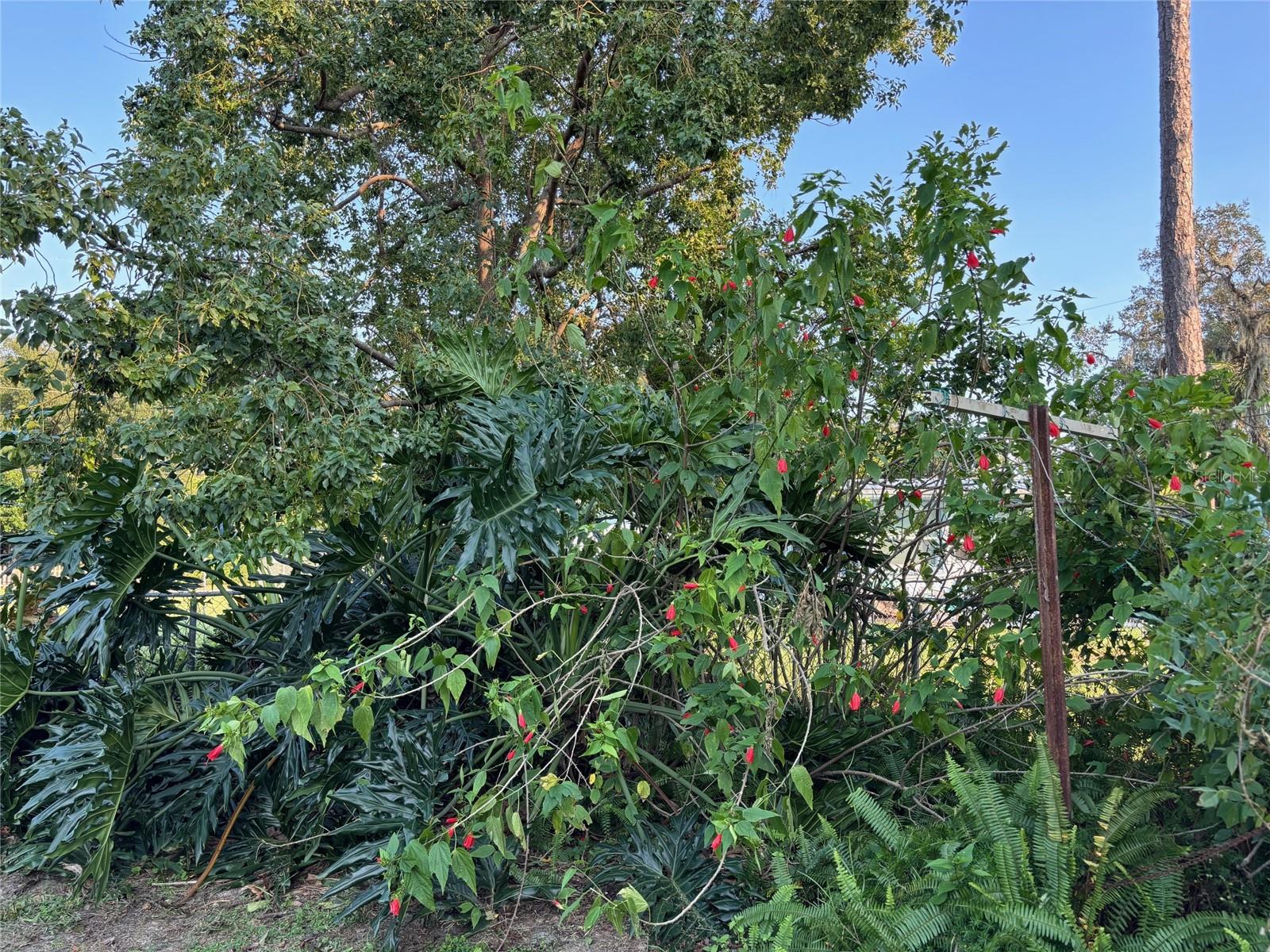 Image 29 of 44 For 600 Hogle Avenue