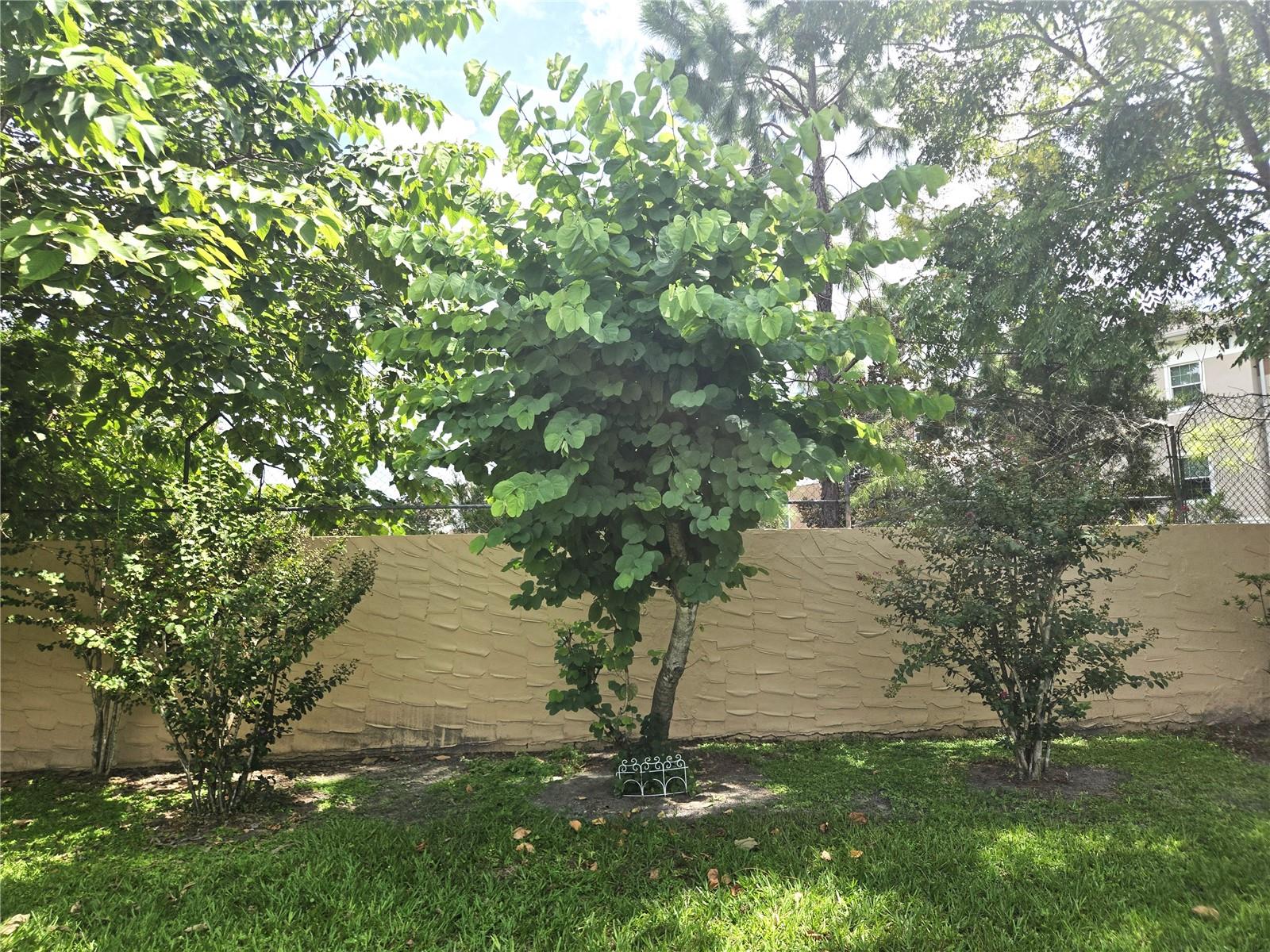 Image 20 of 20 For 35 Villa Villar Court 35