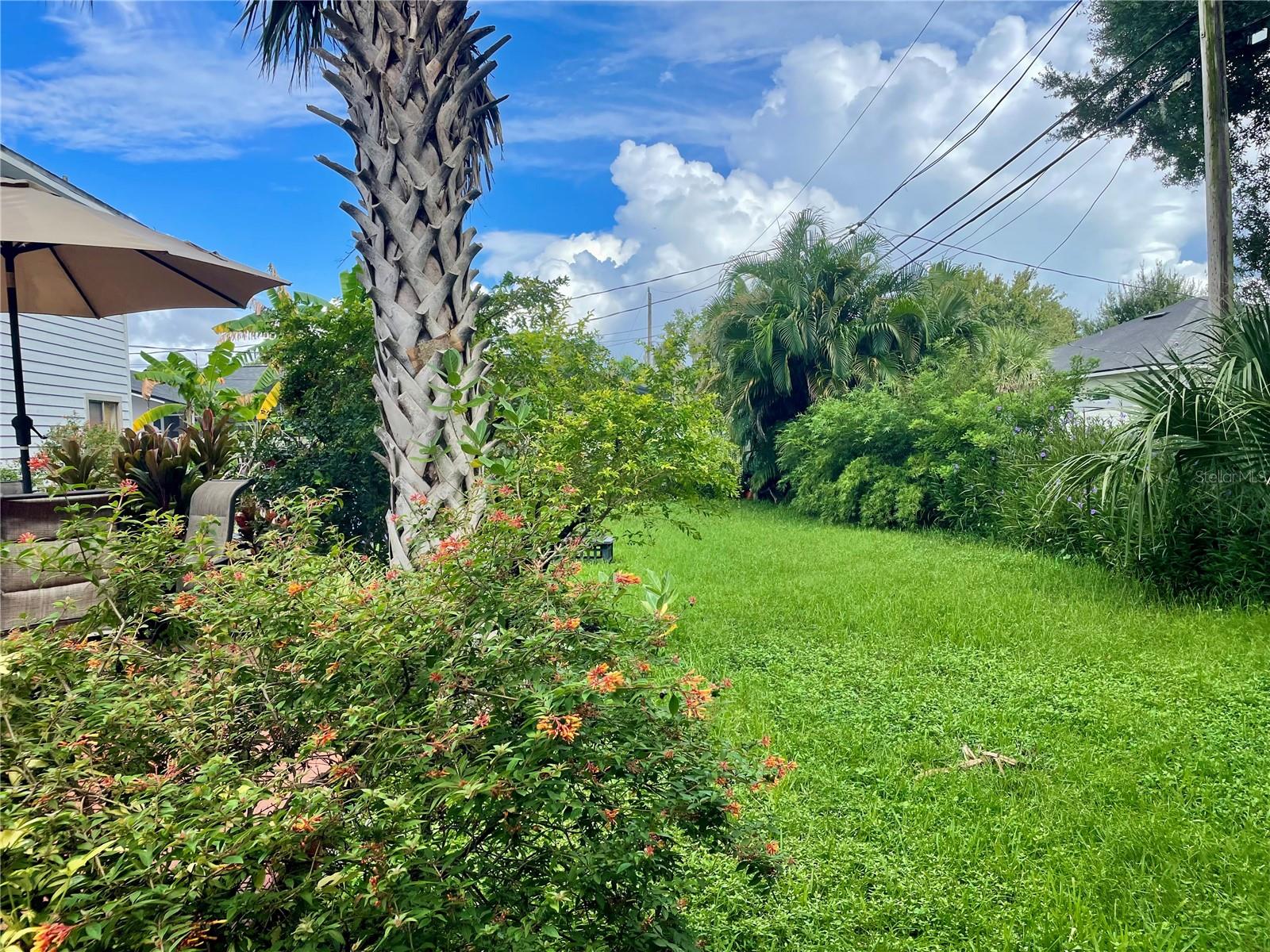 Image 36 of 42 For 2615 Willow Oak Drive
