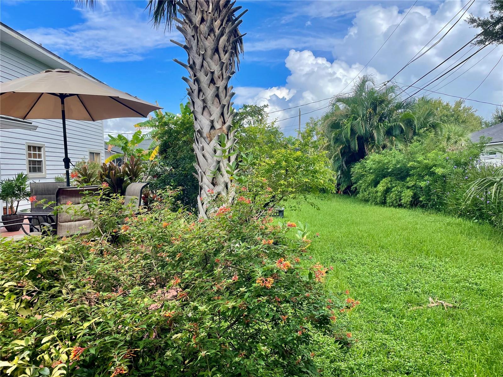 Image 37 of 42 For 2615 Willow Oak Drive