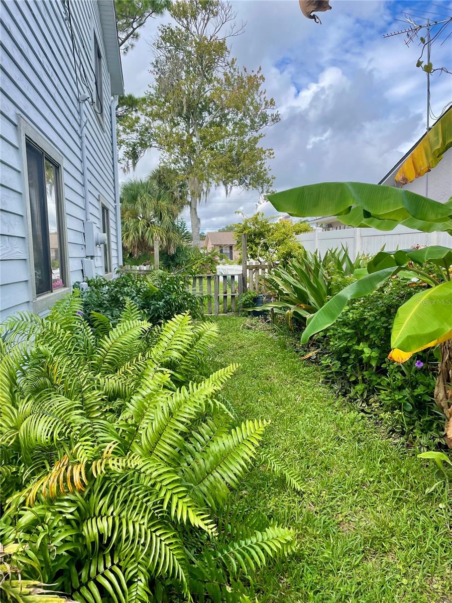 Image 41 of 42 For 2615 Willow Oak Drive