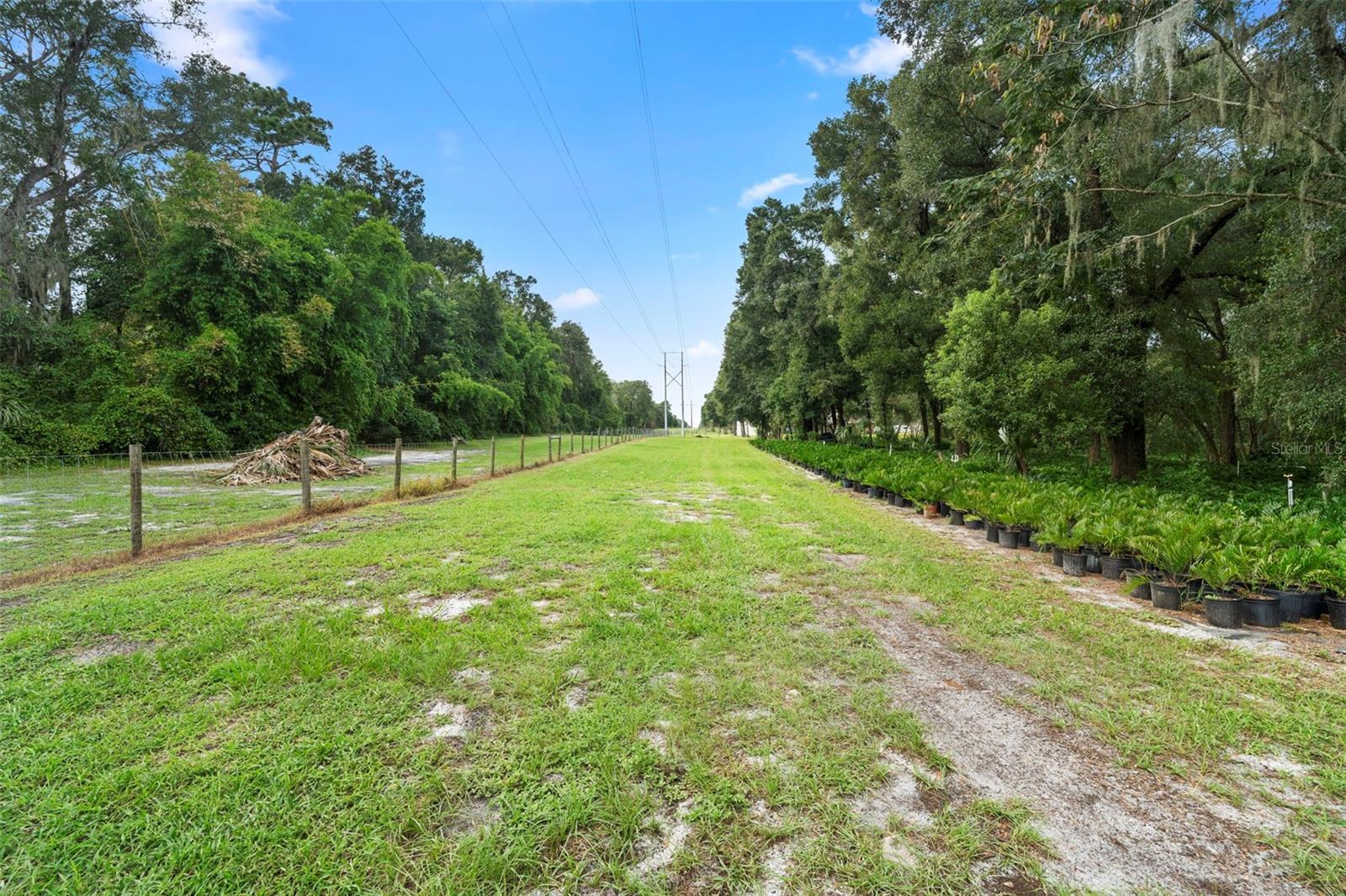 Image 46 of 82 For 1268 Mcgregor Road