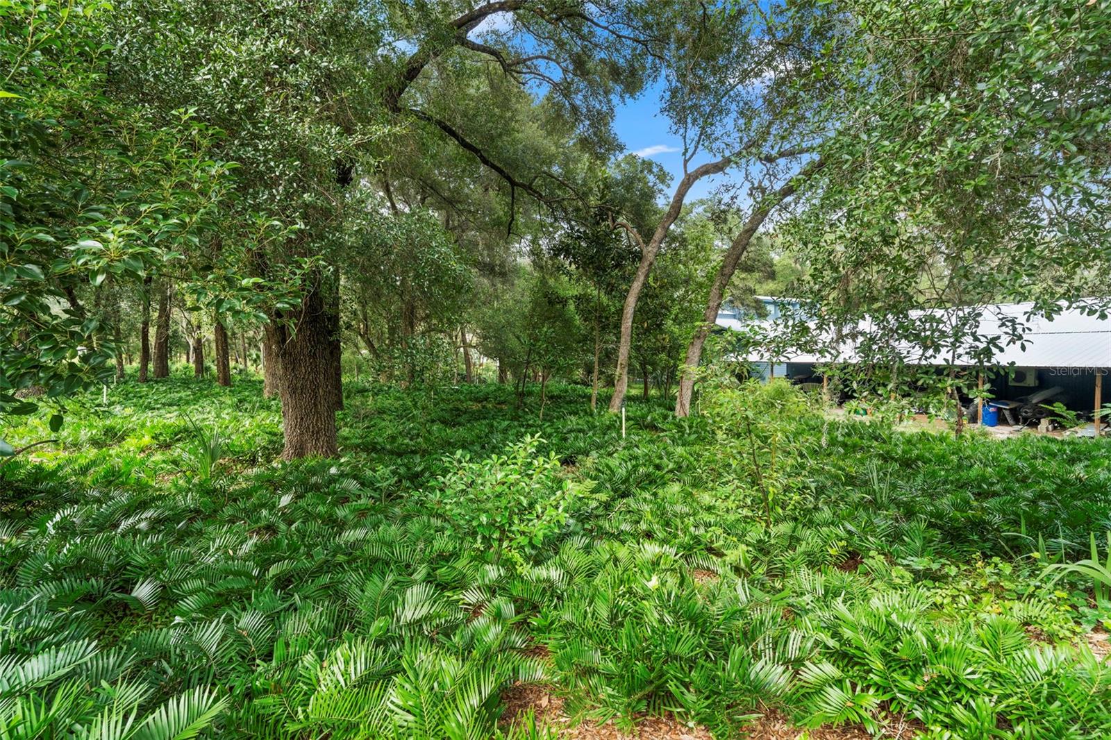 Image 47 of 82 For 1268 Mcgregor Road