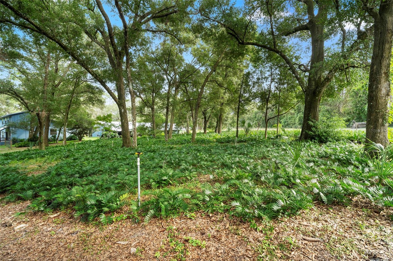 Image 49 of 82 For 1268 Mcgregor Road