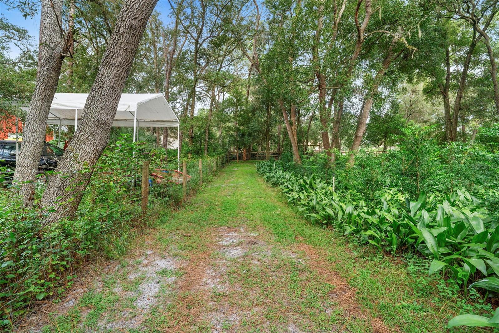Image 56 of 82 For 1268 Mcgregor Road