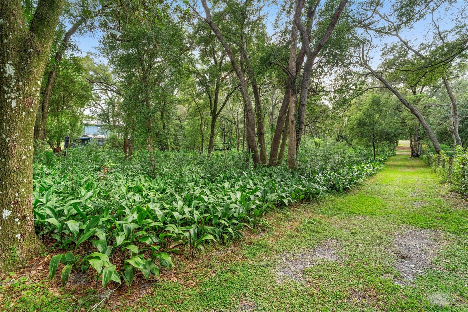 Image 57 of 82 For 1268 Mcgregor Road