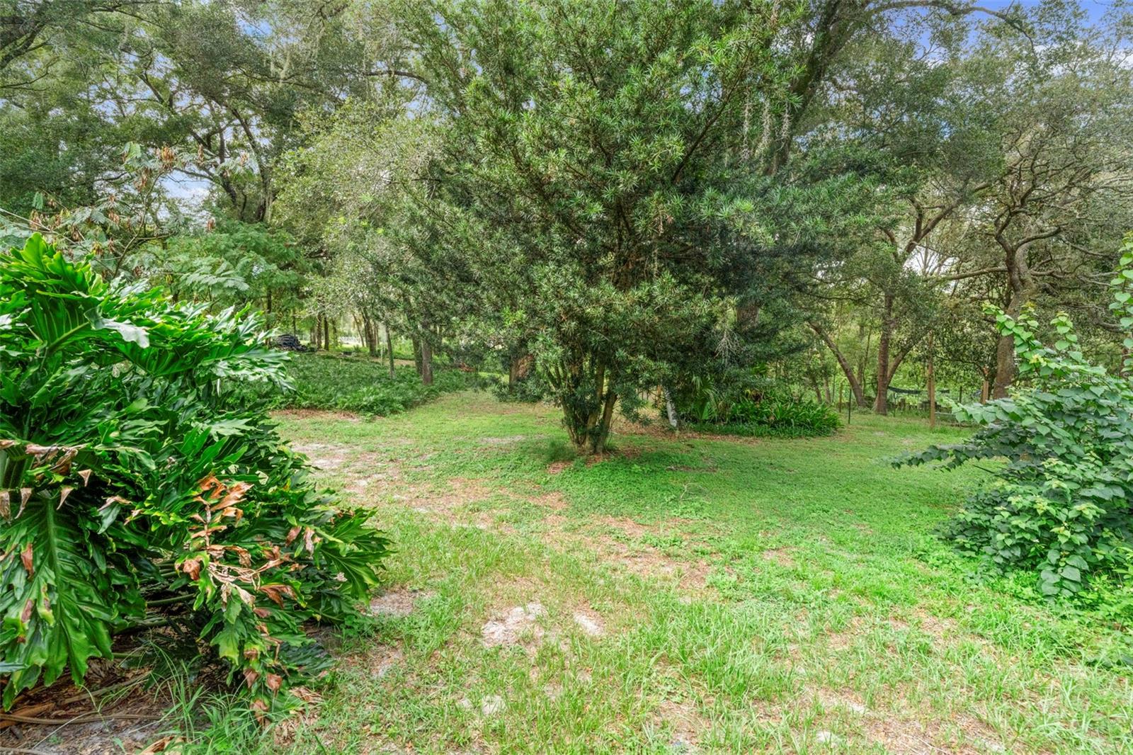 Image 67 of 82 For 1268 Mcgregor Road
