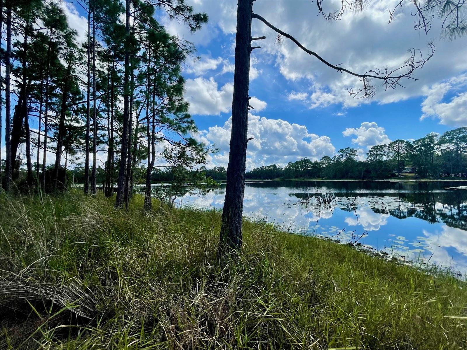 Image 8 of 8 For  W Lake Road 