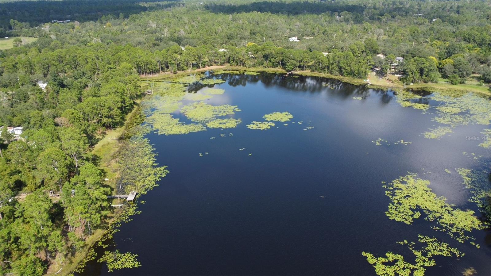 Image 8 of 8 For 42318 Lake Road