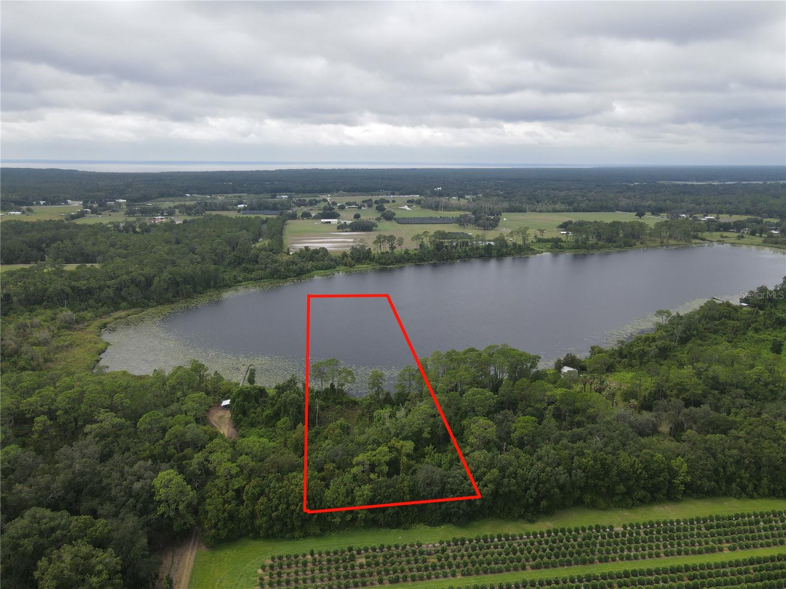 Details for Turkey Shoot Road, PIERSON, FL 32180