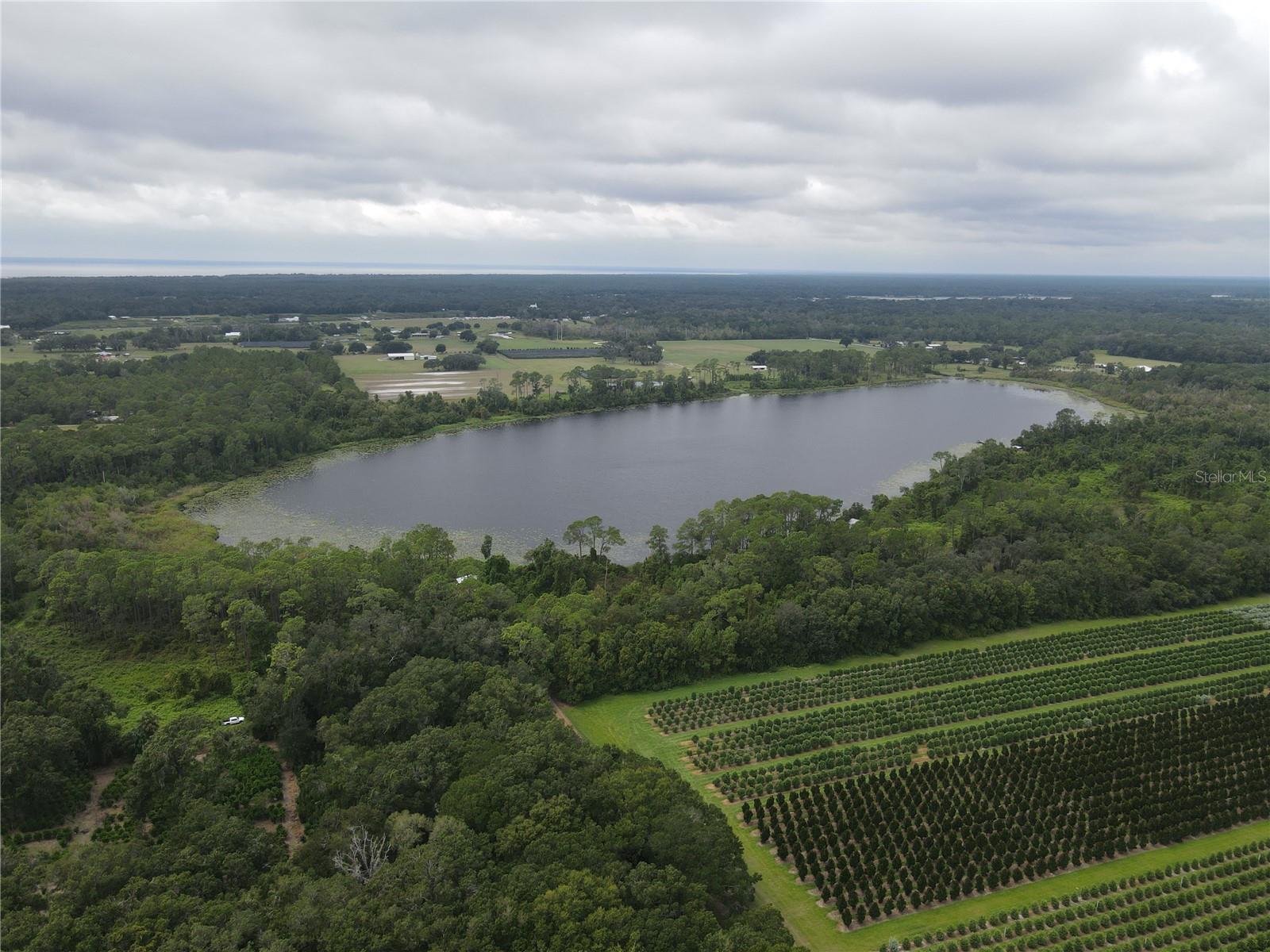 Image 3 of 5 For Turkey Shoot Road