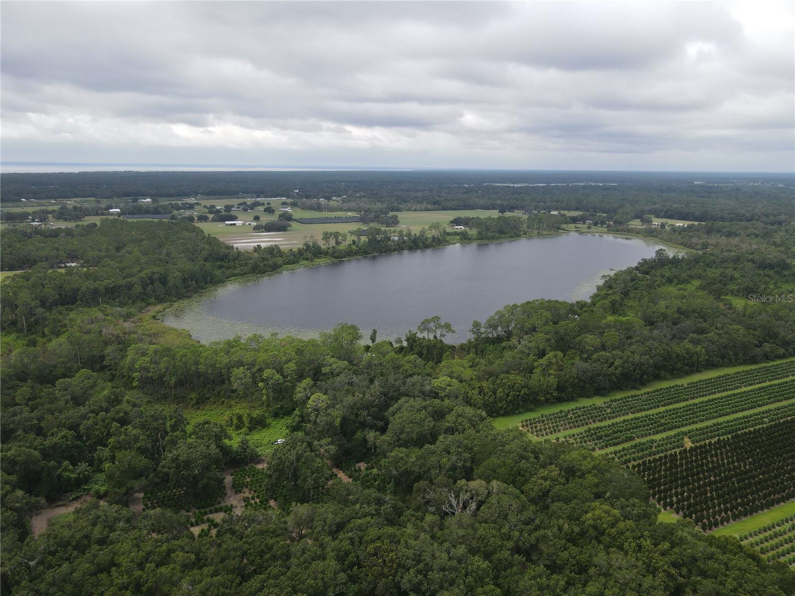 Image 4 of 5 For Turkey Shoot Road