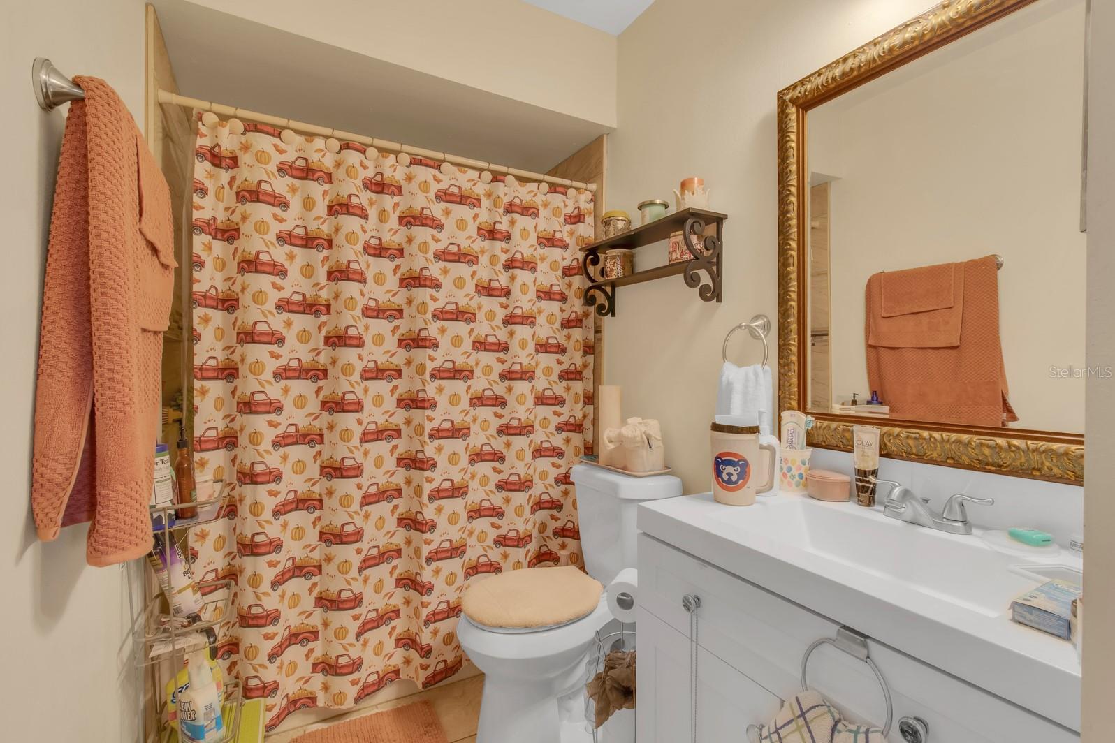 Image 15 of 31 For 5617 Blue Shadows Court  66-4