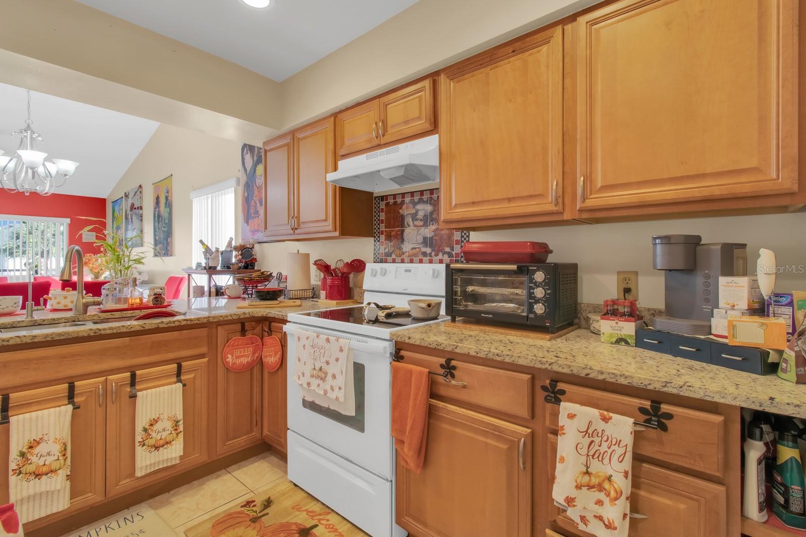 Image 21 of 31 For 5617 Blue Shadows Court  66-4