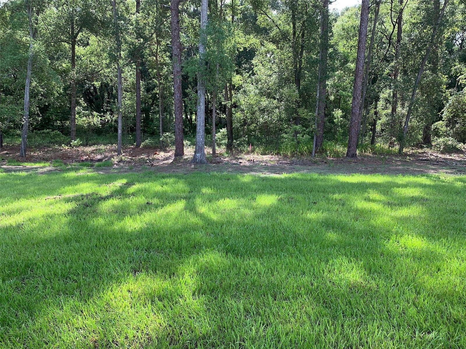 Image 27 of 31 For 361 Nowell Loop