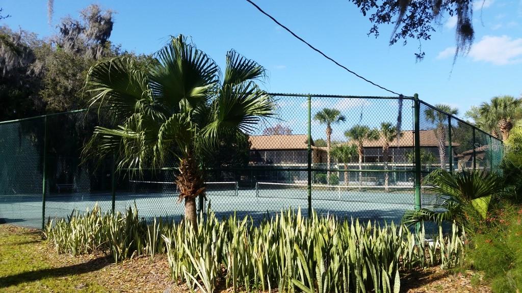 Image 4 of 16 For 140 Orchid Woods Court 17c