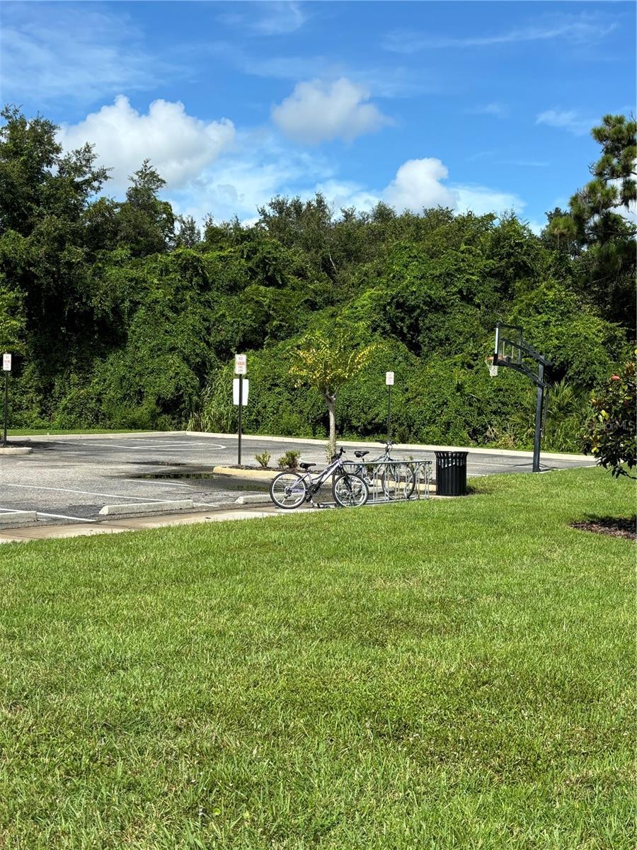 Image 54 of 63 For 174 Verde Way