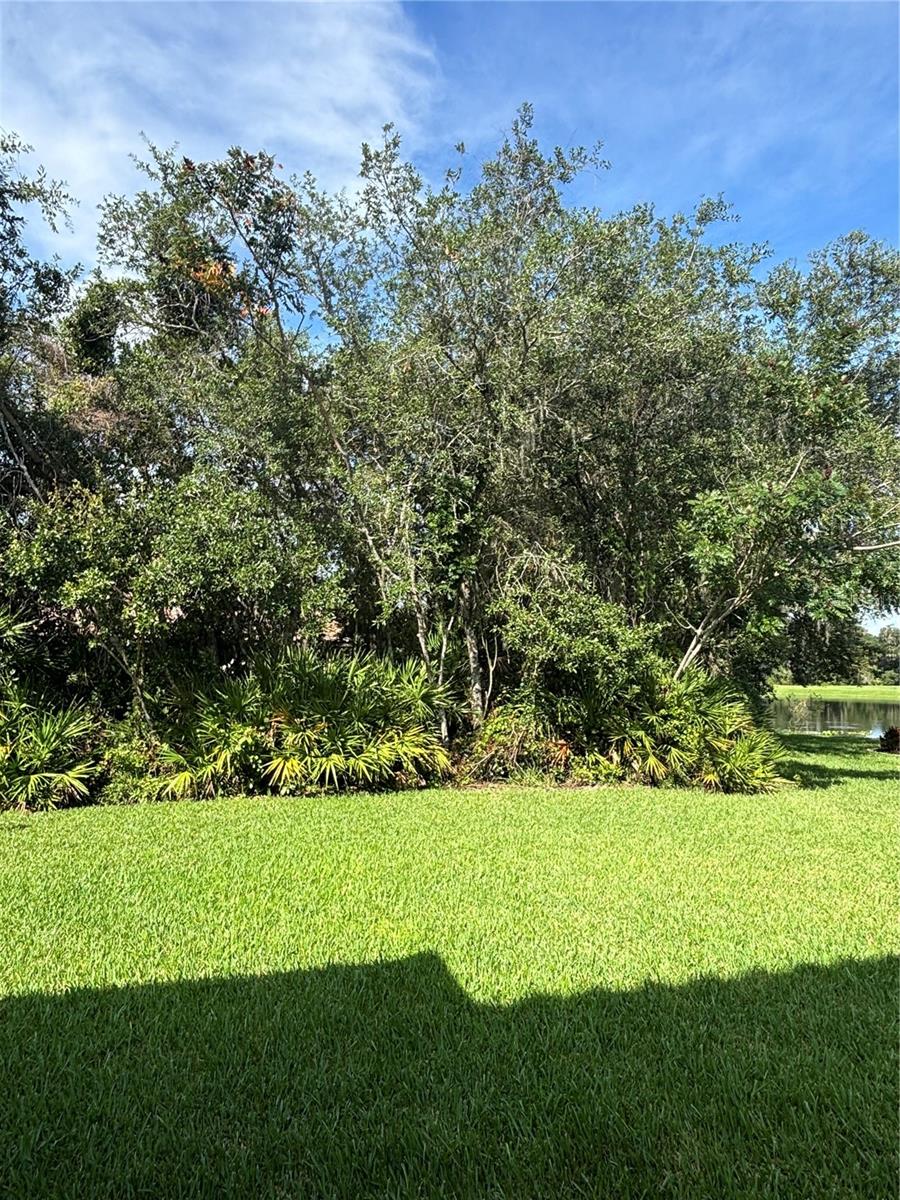 Image 6 of 63 For 174 Verde Way