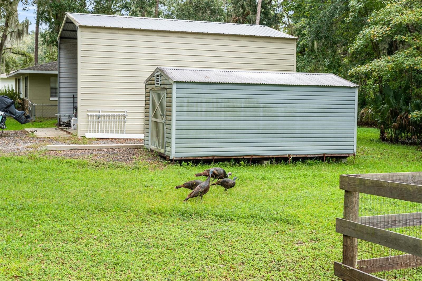 Image 5 of 38 For 2841 Belinda Drive