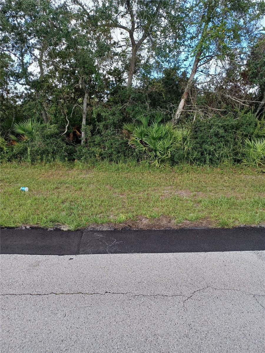Listing Details for 2848 Jewel Avenue, DELTONA, FL 32738