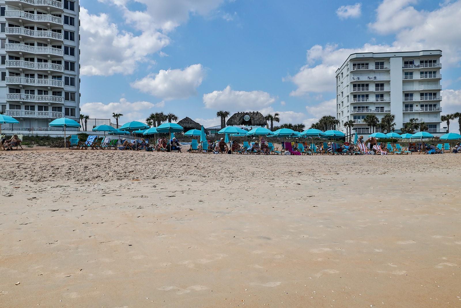 Image 35 of 39 For 338 Lost Shaker Way