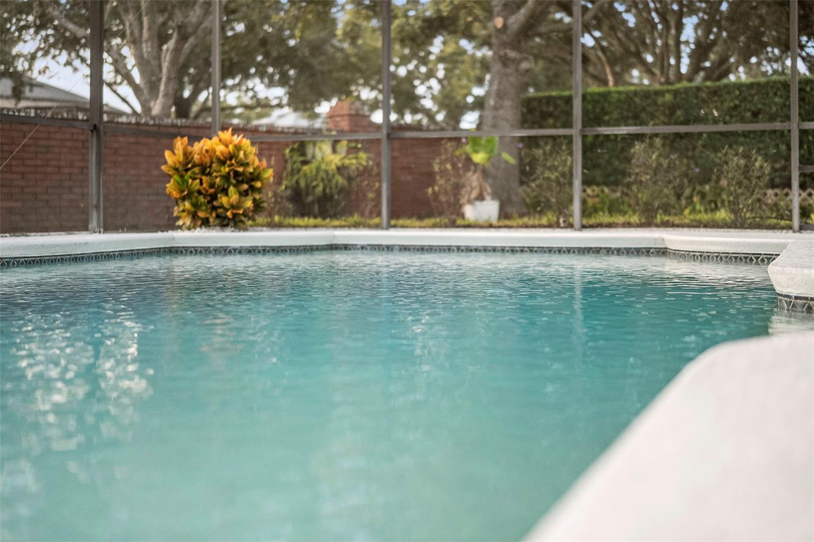 Image 57 of 97 For 1015 Parasol Place