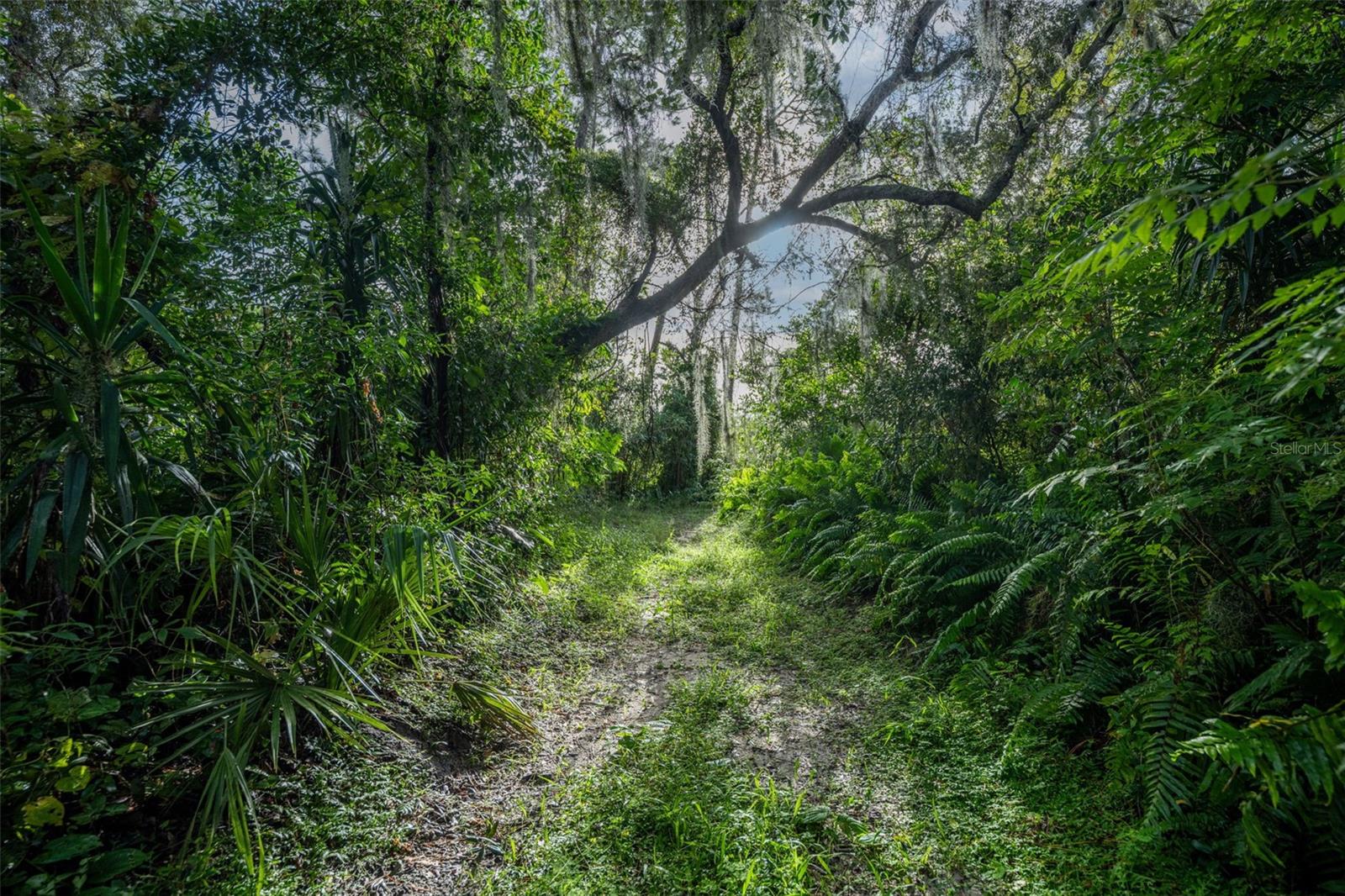 Image 5 of 27 For 2163 Van Orman Drive