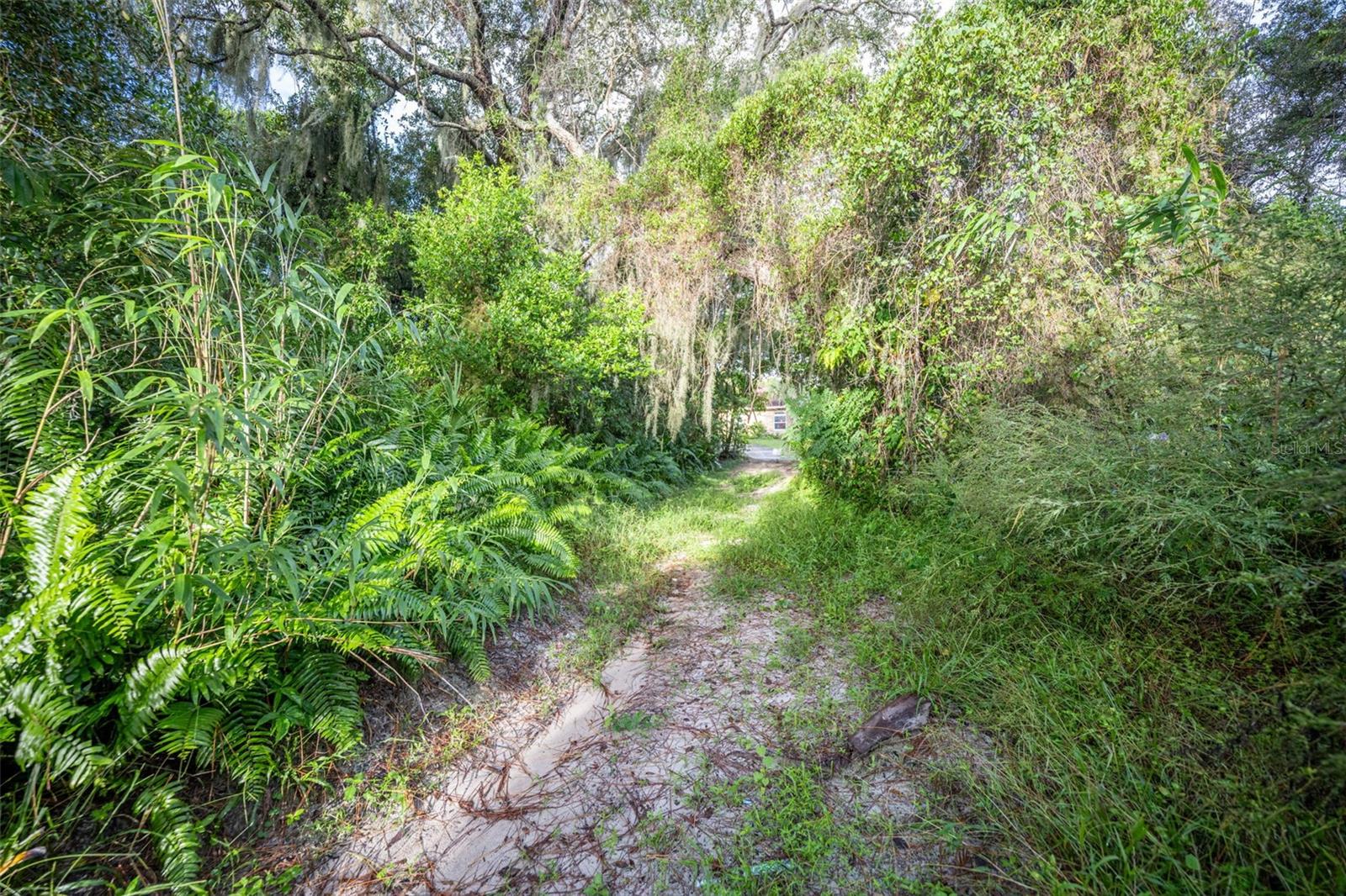 Image 6 of 27 For 2163 Van Orman Drive