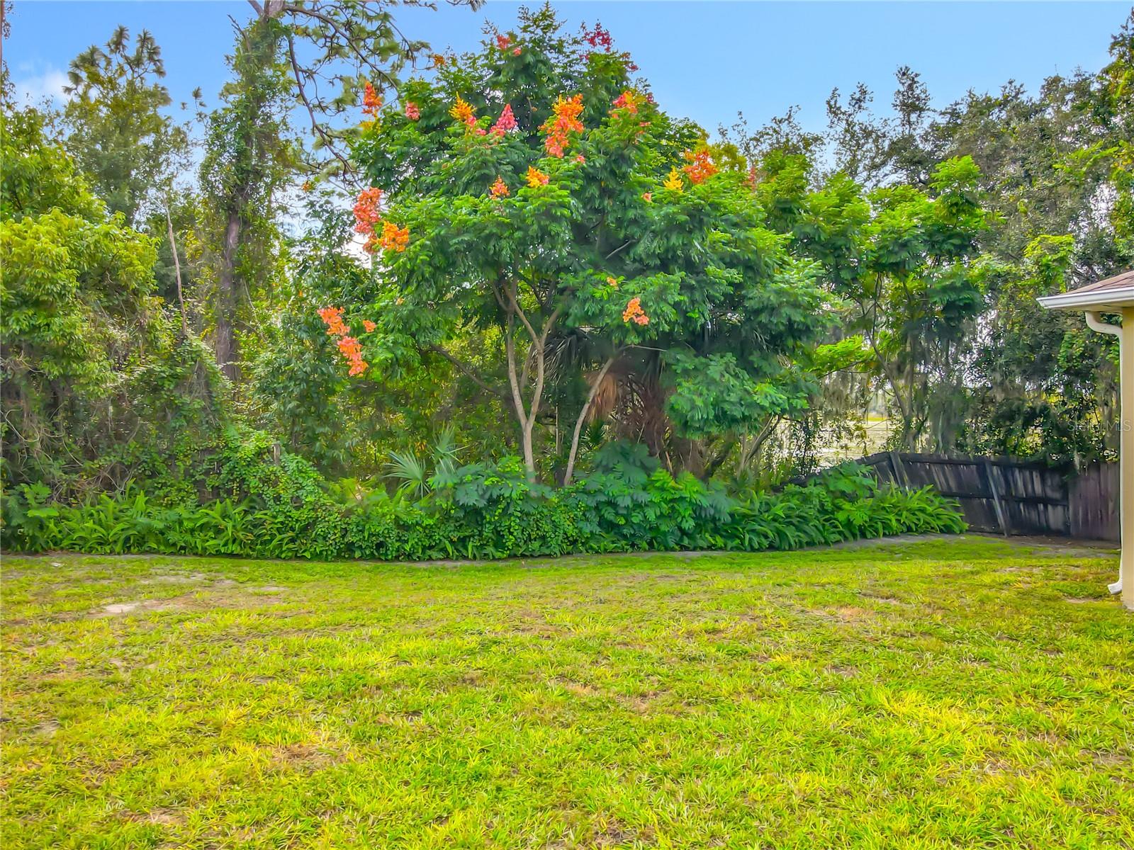 Image 57 of 65 For 3165 Noah Court