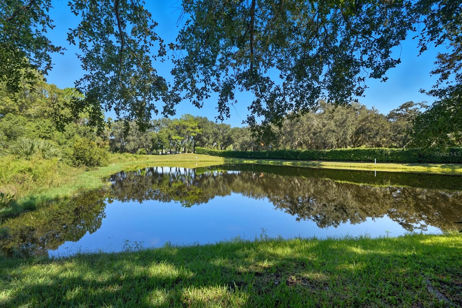 Image 43 of 53 For 168 Gala Circle
